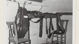 Horse Collar and Harnesses