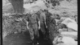 Sheep Washing: Outgang Beck