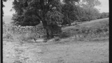 Old Sheep Washing Place: Outgang Beck