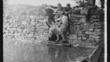 Sheep Washing: Outgang Beck