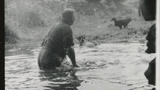 Sheep Washing: Outgang Beck