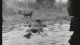 Sheep Washing: Outgang Beck