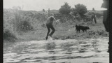 Sheep Washing: Outgang Beck