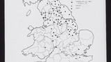 SED Word Map: Newt