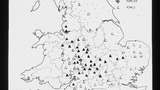 SED Word Map: (Keep) Hens