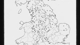 SED Word Map: Weakling