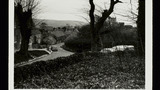Kingston (Dorset)