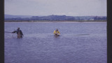 Salmon Fishing: Haaf Net