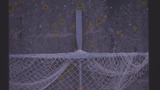 Haaf Net: Detail