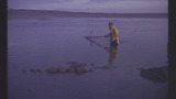 Salmon Fishing: Have Net