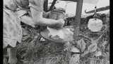 Cheesemaking: Cheese Press