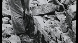 Dry Stone Walling