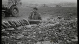 Dry Stone Walling