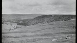 Dry Stone Wall Landscape