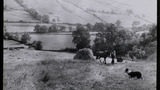 Haymaking: Hay Sledge