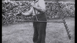 Haymaking by Hand: Nag Rake