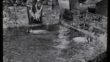 Sheep Washing: Outgang Beck