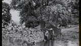Sheep Washing: Outgang Beck
