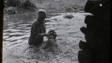 Sheep Washing: Outgang Beck