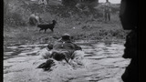 Sheep Washing: Outgang Beck