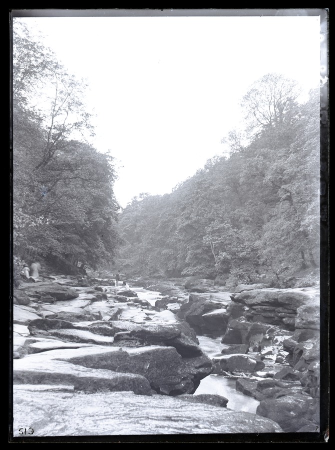 Bolton Woods, the Strid 