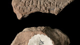 cuneiform tablet (section)