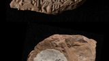 cuneiform tablet (section)