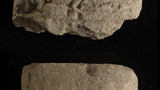 cuneiform tablet (partial)