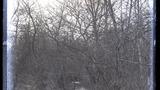 Adel Moor