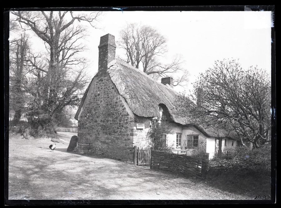 Studland, cottage 