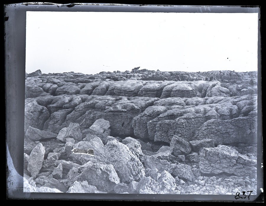 Grange [Grange-over-Sands], Hampsfell, Limestone rocks 