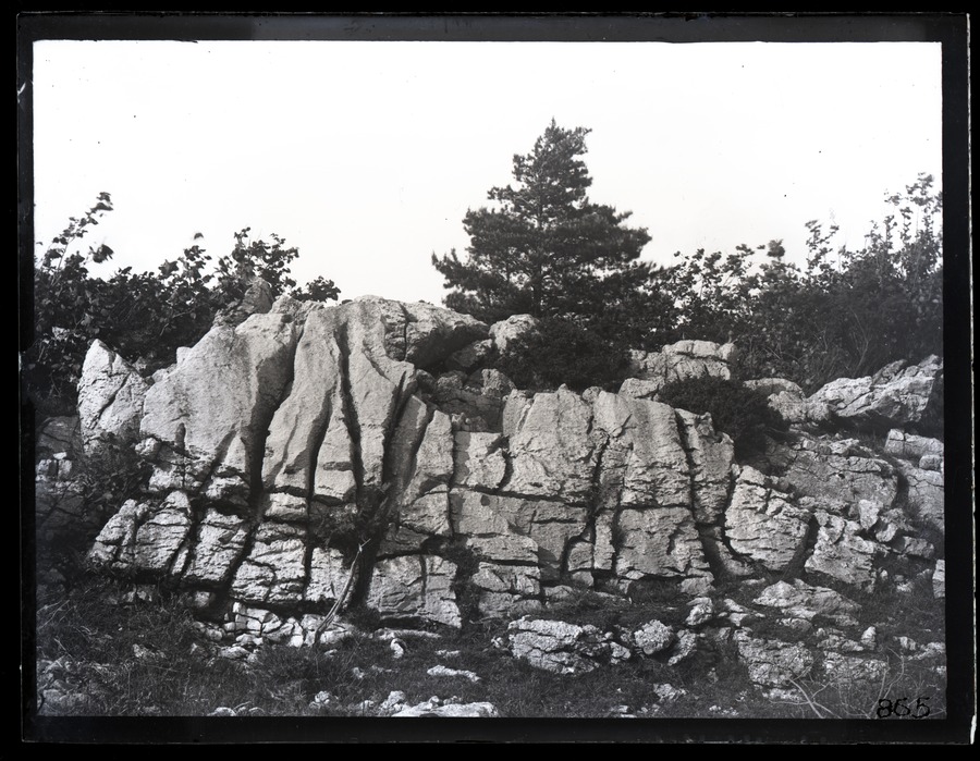 Grange [Grange-over-Sands], rocks, vertical weathering 