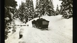 Arosa