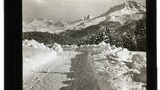 Arosa