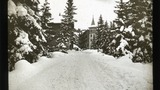 Arosa