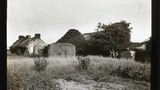 Nr [near] Dundee, Stony Grove, Liff