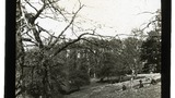 Oxon, In Over-Norton Park