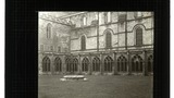 Durham, cloisters; roofs and vaultings