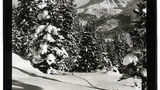 Arosa