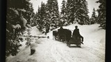Arosa