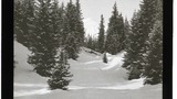 Arosa