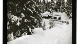 Arosa