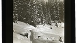 Arosa