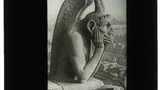 Paris Gargoyle, Notre Dame de Paris